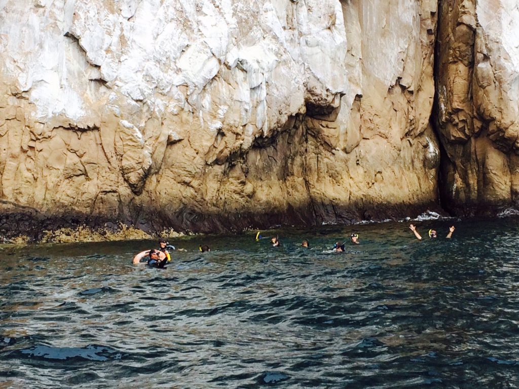 Snorkeling! We saw sharks, turtles, sea lions, Eagle rays, and lots of fish.